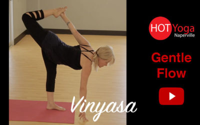 Gentle Flow Vinyasa