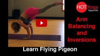 Learn Flying Pigeon