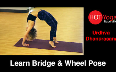 Learn Bridge and Wheel