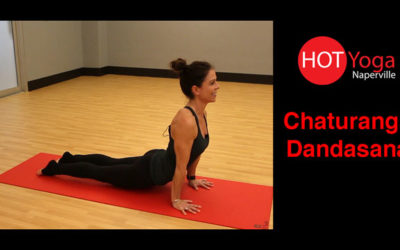 Chaturanga Dandasana Pose