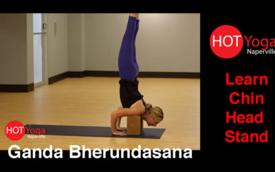 Learn Chin Head Stand | Ganda Bherundasana Pose