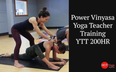 Power Vinyasa Yoga Teacher Training